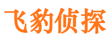 东宝侦探公司